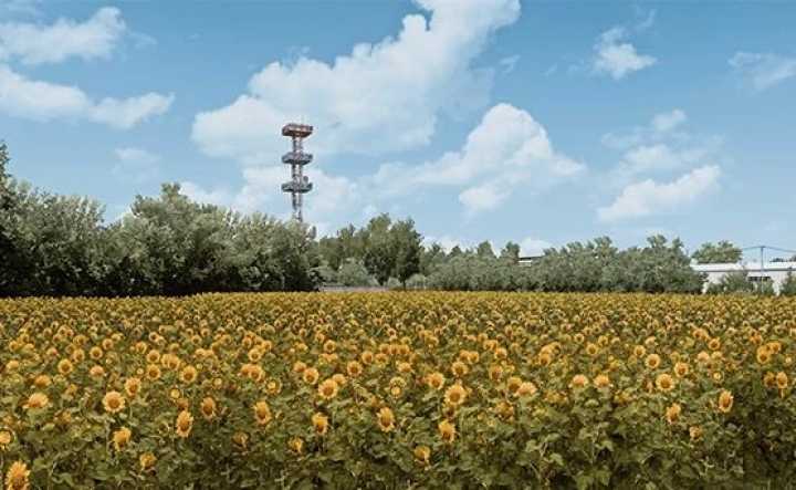 Bleak Reshade V1.2 ETS2 1.46