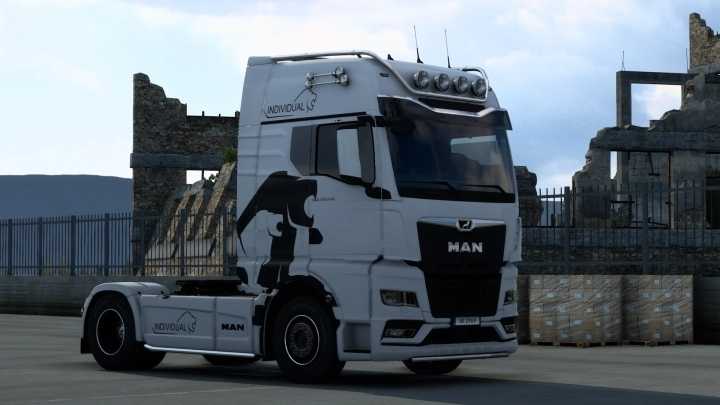 Man Tgx Tg3 Individual Skin V1.0 ETS2 1.47
