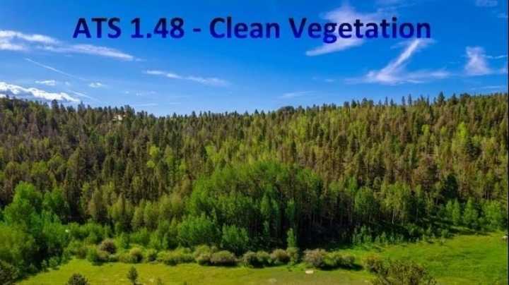 Clean Vegetation Fixed V1.0.1 ATS 1.48
