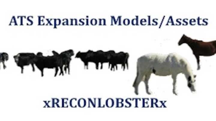 Expansion Models And Assets V2.0 ATS 1.49
