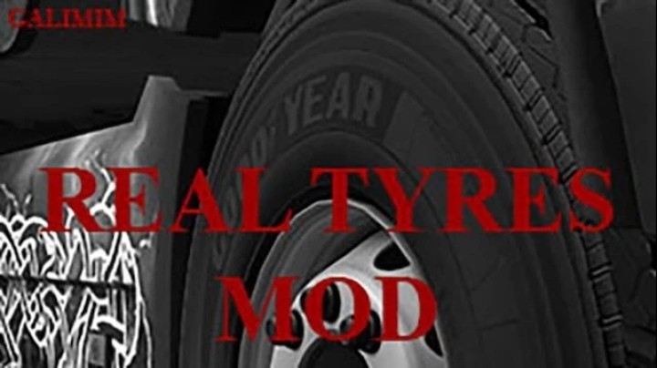 Real Tires ETS2 1.49