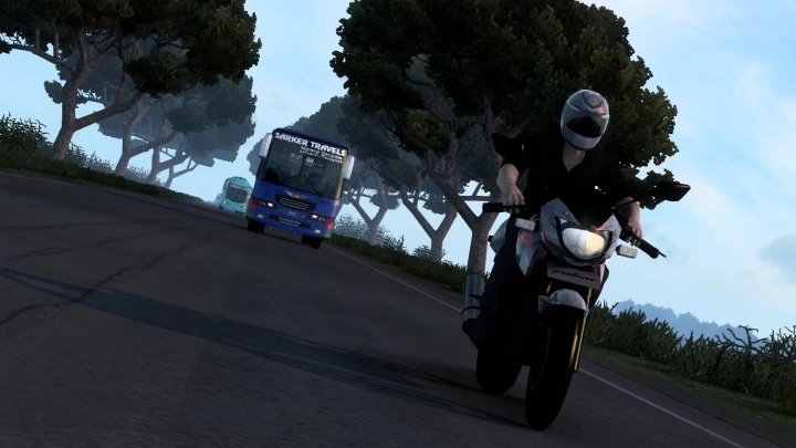 Bajaj Pulsar 150 Dtsi V1.0 ETS2 1.49