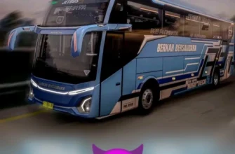 Пак Mizta Doel Livary от Ardian Sya Обновление V7.0 ETS2 1.49